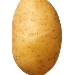 Potato central world