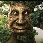 Mystical_ wise_tree