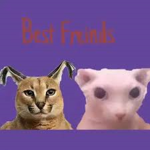 floppa and bingus is the best duo