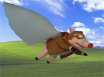 flying pigs!