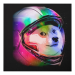 Da doge squad (and other peoples)