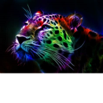 Operation: Save Animals!