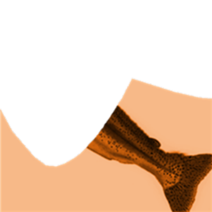 Mermaid tail texture by mermaidjulia Roblox decal