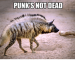 Hyenaz clan