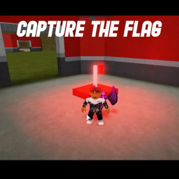 Capture The Flag (NEW)