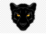 Black panthers rock