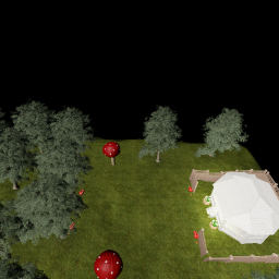 A mushroom place.