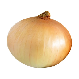 Eating Onion Simulator