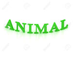 Animal_Group1