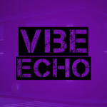 Vibe Echo