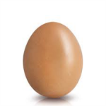 lobox egg group