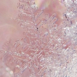 Snowflake Hangout!