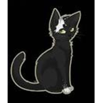Black cat's team