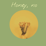 。*honey no* 。