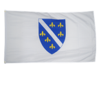 bosnian army