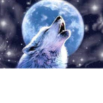 #Moonlight Wolf Pack