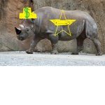 The Rhino Star