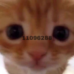 ꨄꨄꨄꨄbxnditsꨄꨄꨄꨄ