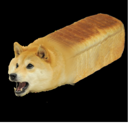 doge obby :D