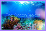 The Ocean Project