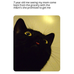 MousyDaMouse fan group