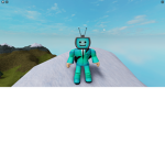 THE NOOB S