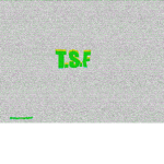 Ts forces.