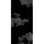 • ɴᴀʏ’ꜱ ꜱᴜɴꜰʟᴏᴡᴇʀꜱ •