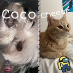 coco eats cheese