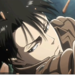 Always levi