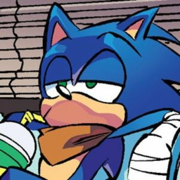Sonic's Dream Roleplay