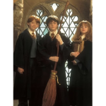 Harry Potter fan group and five nights at Freddys