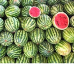 Melon Man Squad