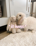 ~ dti bunnies ~