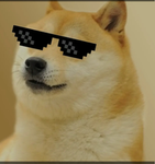 RESPECT FOR DOGE