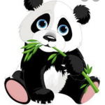 Panda licious