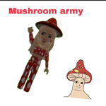 Mushroom army was taken