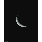 MoonzRobux