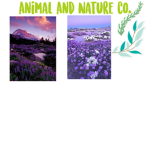 Animal and nature co.