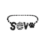 3.0 sev