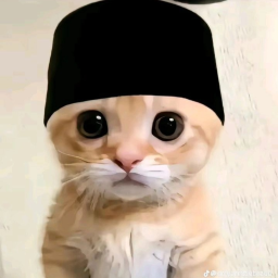 DEWAN ICGENG