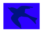 Oiseau Airlines