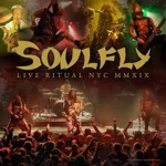 SOULFLYKRALLIĞI
