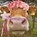 tinklecow fan club