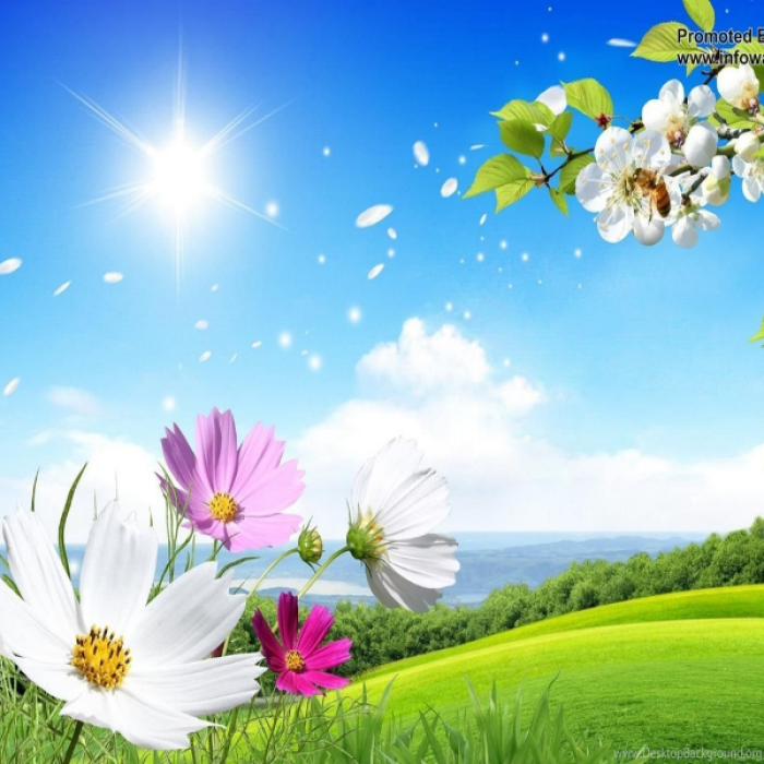 Beautiful Scenery!! Roblox decal