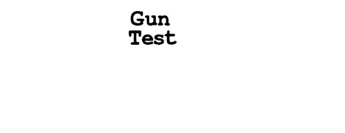 Gun Test