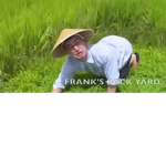 The Rice Field :D