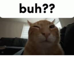 CuzWhyNöt