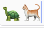 Team tortoise kitty