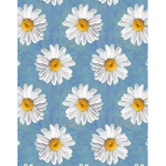 Aliyah..daisys